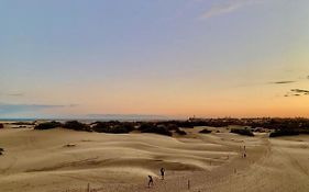 Las Dunas De Maspalomas Y El Mar A Un Paso
